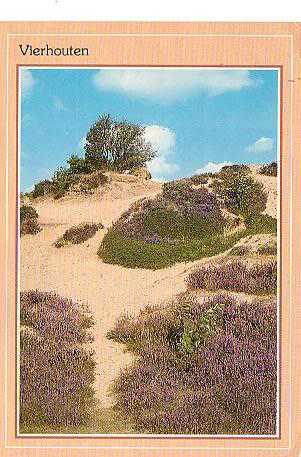 Oude foto's Vierhouten kleur 1